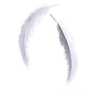 Feathered White Wings Design Png Qtx PNG image