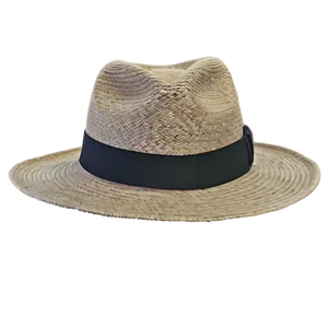 Fedora Collection Png 05252024 PNG image