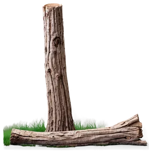 Felled Tree Trunk PNG 6 PNG