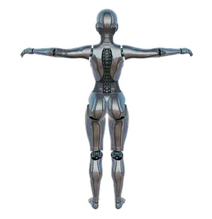Female Android Back View