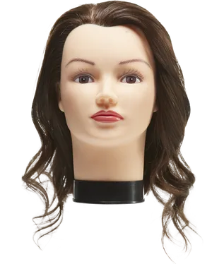 Female Mannequin Headwith Hair