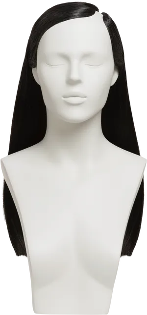 Female Mannequin Headwith Hair PNG image