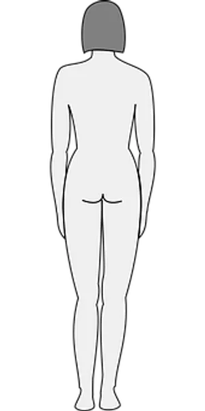 Female Silhouette Rear View