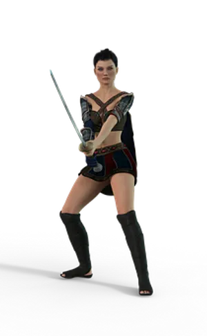 Female Warrior3 D Model With Sword