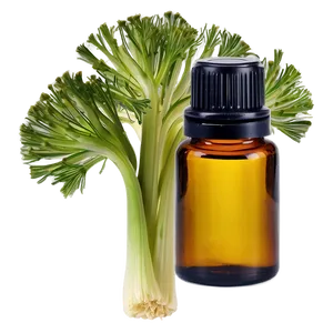 Fennel Essential Oil PNG 67