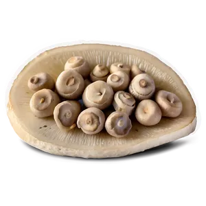 Fermented Mushrooms PNG Lmc