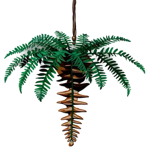 Fern Hanging Plant PNG Hpo
