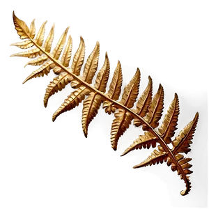 Fern Leaf Fossil Impression PNG Qrw