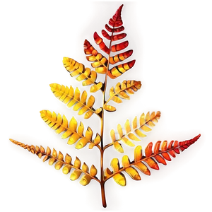Fern Leaf In Autumn Colors PNG 06282024