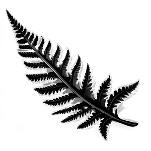 Fern Leaf In Black And White PNG Tli16 PNG