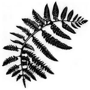 Fern Leaf In Black And White PNG Xek2 PNG