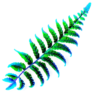 Fern Leaf In Vibrant Colors PNG 28