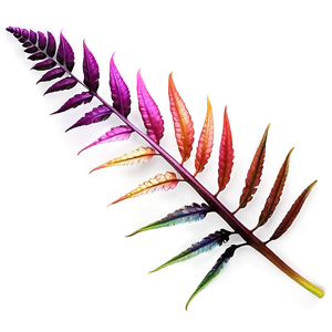 Fern Leaf In Vibrant Colors PNG 66