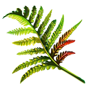 Fern Leaf In Vibrant Colors PNG Xno34 PNG