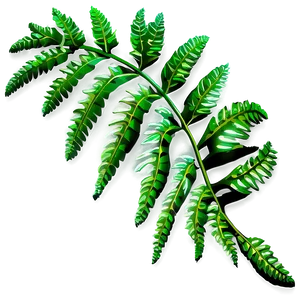 Fern Leaf Outline Png 06282024 PNG image