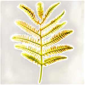 Fern Leaf Under Microscope PNG Cby