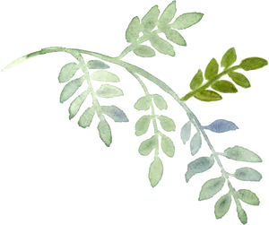 Fern Leaf Watercolor Artwork