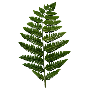 Fern Leaf Wedding Decoration PNG 29