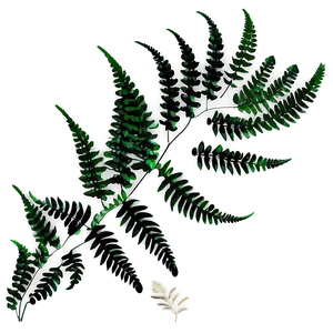Fern Leaf Wedding Decoration PNG 98