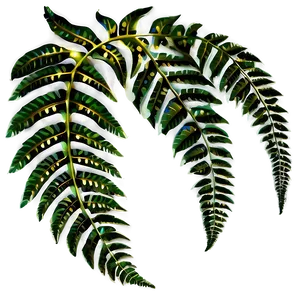 Fern Leaf Wedding Decoration PNG Err