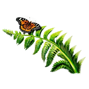Fern Leaf With Butterfly PNG Awo67