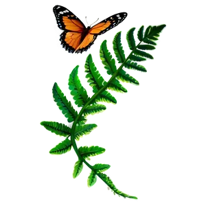 Fern Leaf With Butterfly PNG Hhc58