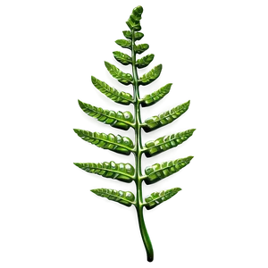 Fern Leaf With Dew Drops Png 57 PNG image