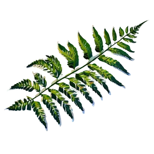 Fern Leaf Zen Garden PNG Ilw
