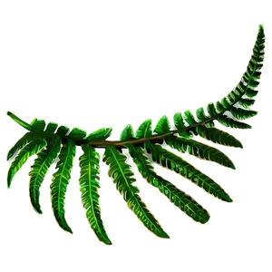 Fern Tropical Leaf PNG Umq74 PNG