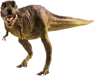 Ferocious_ Tyrannosaurus_ Rex_ P N G PNG image