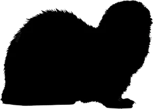 Ferret Silhouette Profile PNG