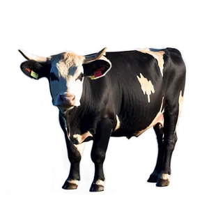 Festive Cow Png 05032024 PNG image