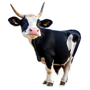 Festive Cow Png 21 PNG image