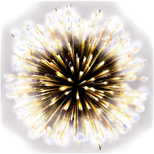 Festive Gold Fireworks Burst Png Jra PNG image