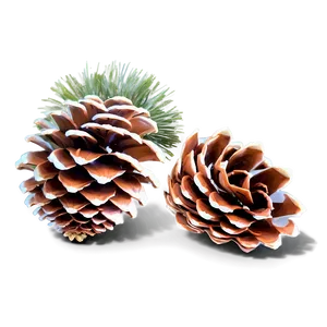 Festive Holiday Pinecone PNG Ldc PNG