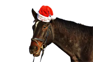 Festive_ Horse_with_ Santa_ Hat