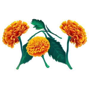 Festive Marigolds PNG 06132024