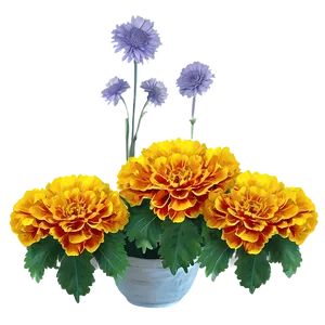 Festive Marigolds PNG Ann