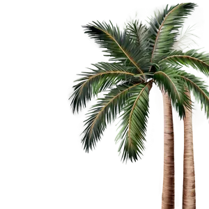 Festive Palm Trees PNG 72