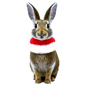 Festive Rabbit PNG 68 PNG