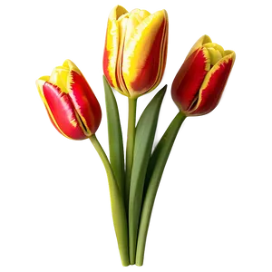 Festive Tulips Arrangement Png Fbv86 PNG image