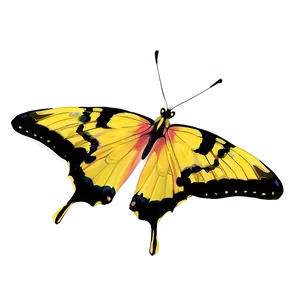 Festive Yellow Butterfly PNG Jxi