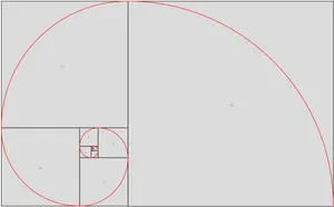 Fibonacci Spiral Graphic PNG image