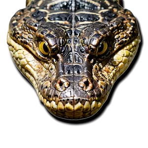 Fierce Alligator Png 05212024 PNG image