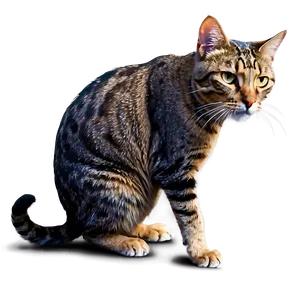 Fierce Cat Stance Png D PNG image