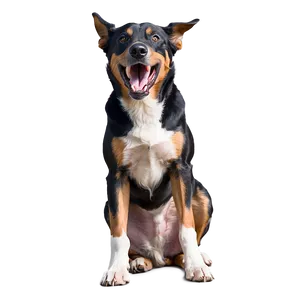 Fierce Dog Barking Png Upg50 PNG image