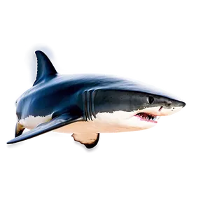 Fierce Great White Shark Png Mtc PNG image