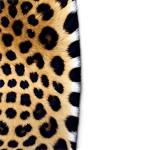 Fierce Leopard Print Png 06252024 PNG image