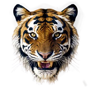 Fierce Tiger Face PNG Crs94 PNG