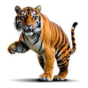 Fierce Tiger Stance PNG 19